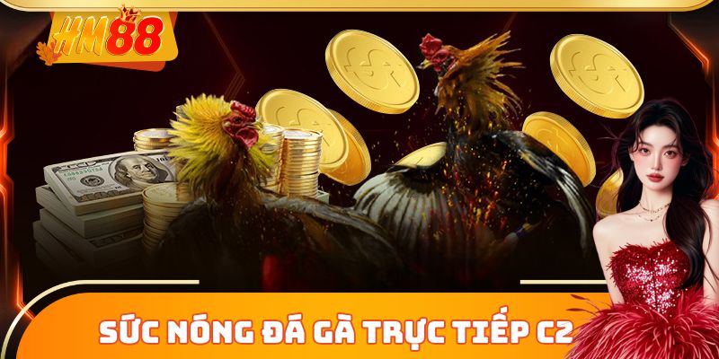 Sức nóng từ đấu trường đá gà trực tiếp C2