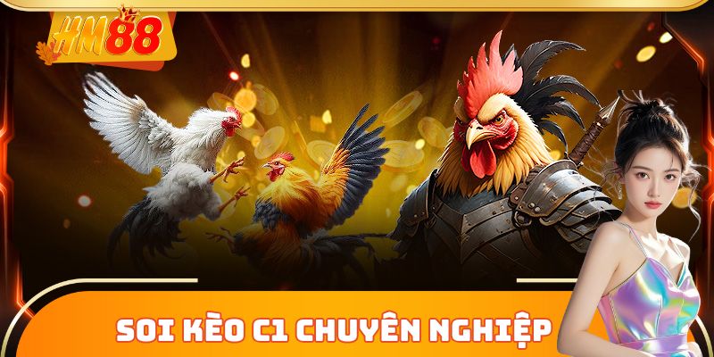 Soi kèo chiến kê C1